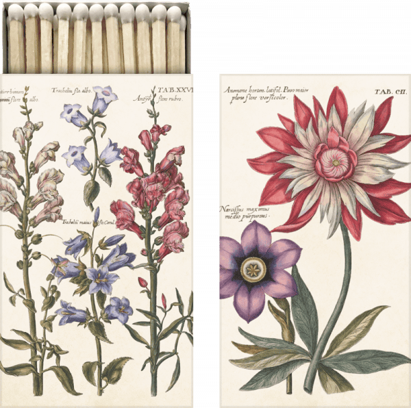 Ilustración de flores variadas con etiquetas científicas, incluidos bocas de dragón rosadas y una gran flor roja y blanca, junto a una hilera de cerillas de madera.