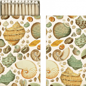Caja de cerillas y papel que presenta un patrón de ilustración de conchas marinas vintage con varios tipos y colores de conchas.