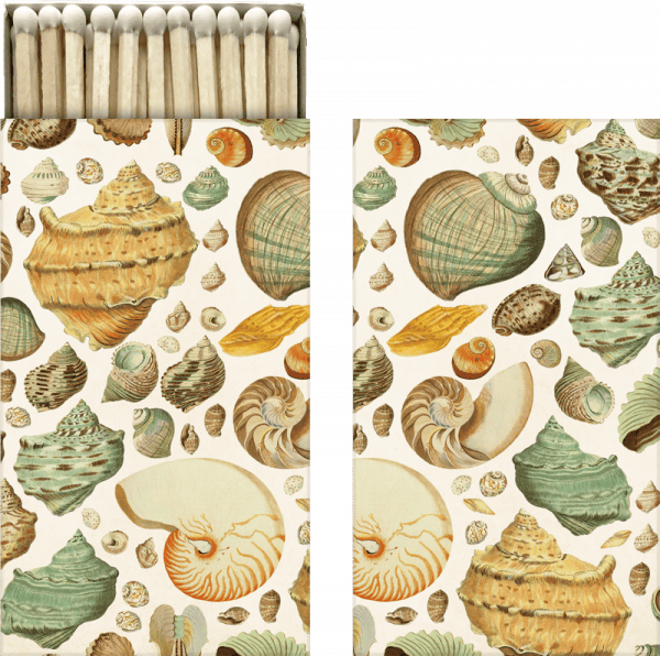 Caja de cerillas y papel que presenta un patrón de ilustración de conchas marinas vintage con varios tipos y colores de conchas.