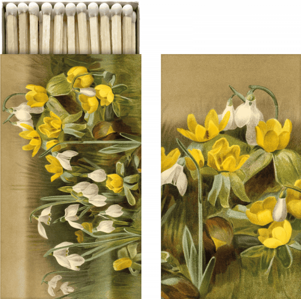 Una caja de cerillas y una tarjeta vintage con una ilustración de flores amarillas y blancas con hojas verdes sobre un fondo marrón.