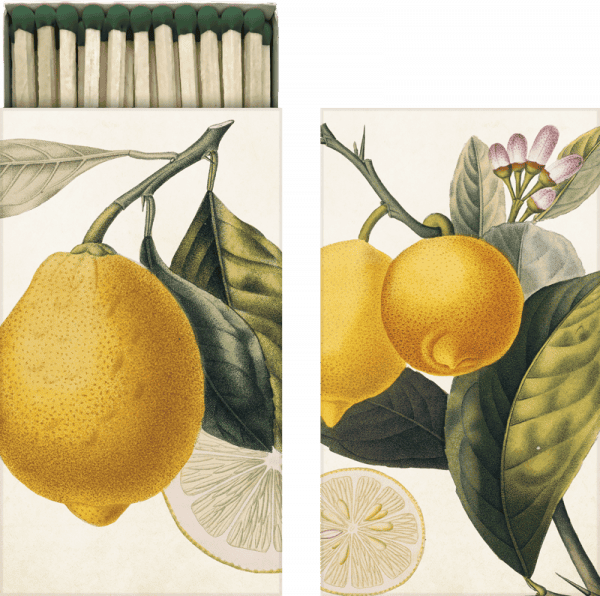 Una caja de fósforos con una tapa que presenta una ilustración de limones, rodajas, hojas y flores.
