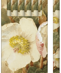 Un paquete de seis lápices con estampado floral junto a un lápiz aislado a la derecha, que presenta flores blancas con hojas verdes.