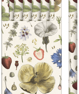 Una caja de seis lápices con diseños florales y botánicos. La caja abierta muestra los lápices, cada uno con una goma de borrar plateada.