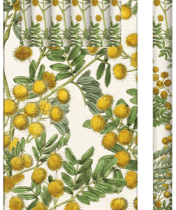 Un juego de seis lápices que presenta un patrón floral verde y amarillo en el empaque y un lápiz que se muestra por separado a la derecha.