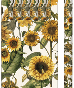 Un paquete de seis lápices con diseños de girasoles tanto en los lápices como en el empaque.