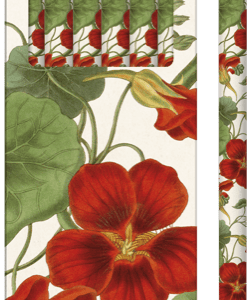 Un juego de seis lápices con motivos florales de color rojo y verde en el empaque y en los lápices.