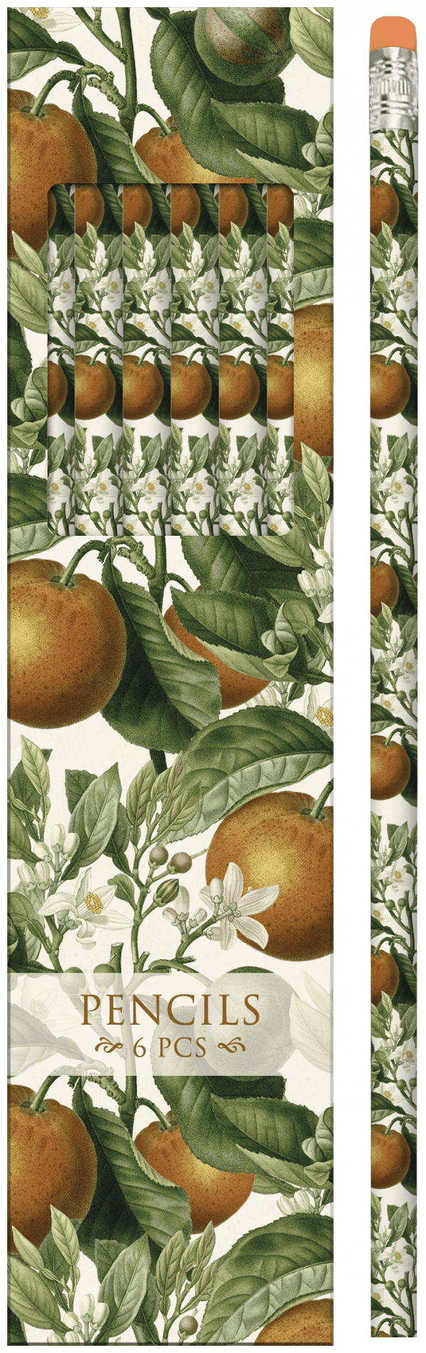 Un juego de seis lápices con un diseño floral naranja y verde en el empaque y el cuerpo.