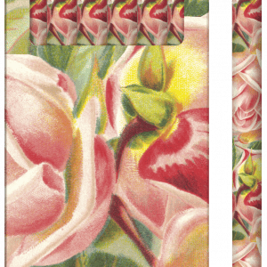 Paquete de seis lápices con estampado floral, con rosas rosadas y hojas verdes.