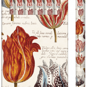 Un juego de seis lápices con diseños ornamentados que presentan ilustraciones de tulipanes de estilo vintage, empaquetados en una caja floral a juego.