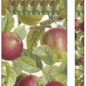 Un paquete de seis lápices con un diseño decorativo de manzanas y hojas en el embalaje de cartón y lápices.