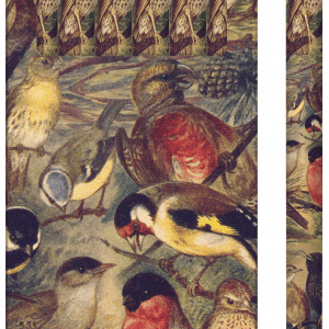 Un paquete de seis lápices que presentan varios pájaros coloridos en el empaque.