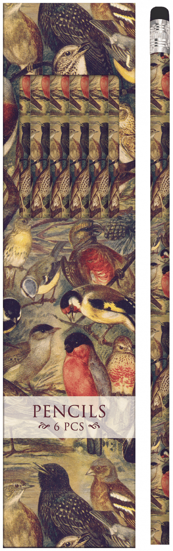 Un paquete de seis lápices que presentan varios pájaros coloridos en el empaque.