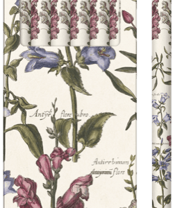 Seis lápices con motivos florales en un embalaje con ilustraciones botánicas a juego.