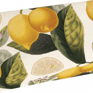 Caja rectangular con un diseño decorativo que presenta limones, rodajas de limón, hojas verdes y pequeñas flores moradas sobre un fondo blanco.