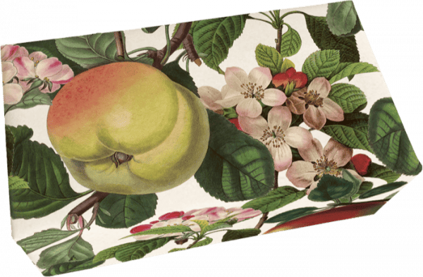 Caja rectangular con ilustraciones botánicas, que incluye un melocotón grande, hojas verdes y flores rosas sobre un fondo blanco.