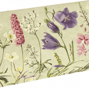 Caja rectangular con ilustraciones de varias flores silvestres sobre fondo verde claro.