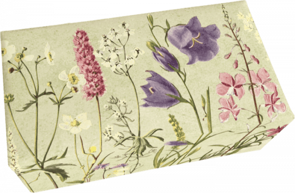 Caja rectangular con ilustraciones de varias flores silvestres sobre fondo verde claro.