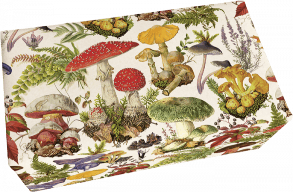 Una caja decorada con ilustraciones coloridas de varias especies de hongos, rodeadas de hojas y plantas sobre un fondo crema.