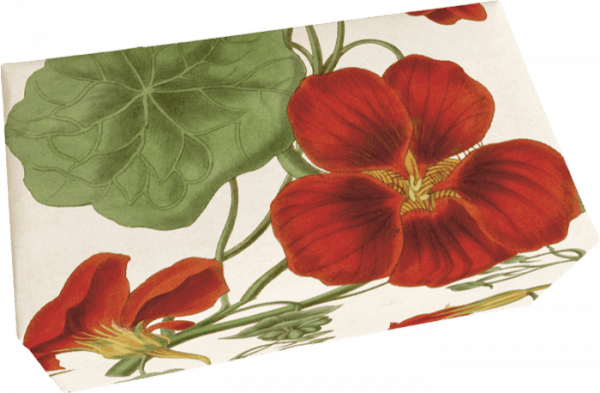 Caja rectangular con diseño botánico de flores rojas y hojas verdes sobre fondo crema.