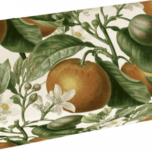 Caja con ilustración botánica de naranjas, hojas y flores blancas en la superficie.