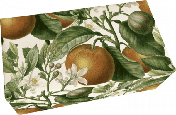 Caja con ilustración botánica de naranjas, hojas y flores blancas en la superficie.