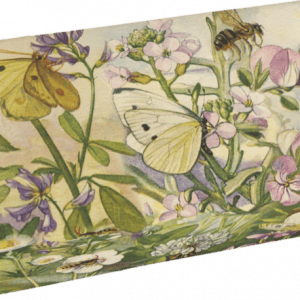 Caja ilustrada con mariposas, una abeja y varias flores en suaves colores pastel.