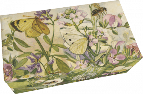 Caja ilustrada con mariposas, una abeja y varias flores en suaves colores pastel.