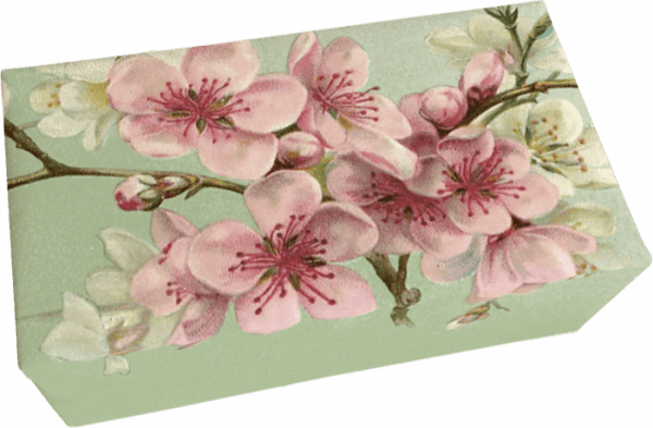Flores de cerezo rosas y blancas en una rama sobre un fondo verde claro.