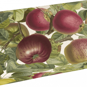 Ilustración de varias manzanas y hojas en una disposición natural y superpuesta.