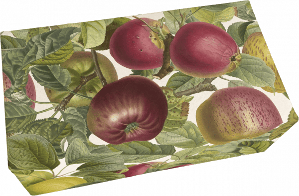 Ilustración de varias manzanas y hojas en una disposición natural y superpuesta.