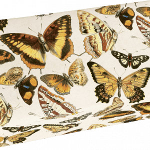 Papel de regalo con varias mariposas ilustradas en diferentes colores y estampados sobre un fondo crema.