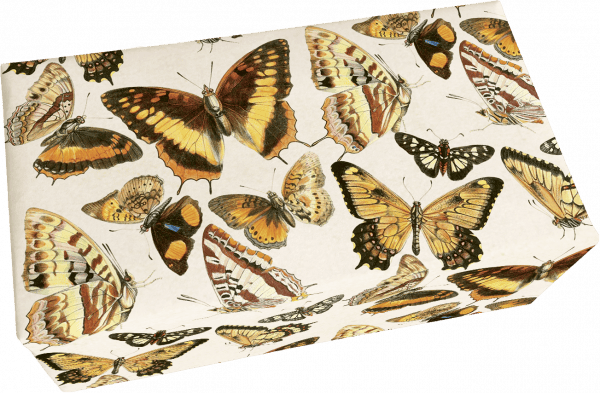 Papel de regalo con varias mariposas ilustradas en diferentes colores y estampados sobre un fondo crema.