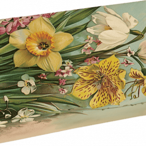 Una caja rectangular con una ilustración de varias flores, incluidos narcisos y lirios, sobre un fondo azul claro.