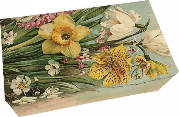 Una caja rectangular con una ilustración de varias flores, incluidos narcisos y lirios, sobre un fondo azul claro.