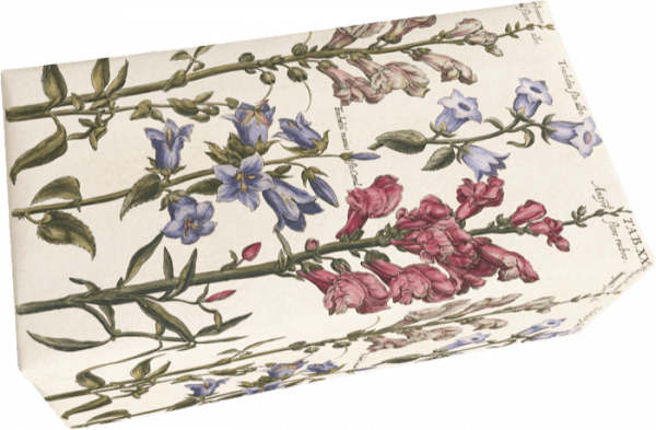 Una caja rectangular con un diseño floral con flores azules y rosas sobre un fondo claro.