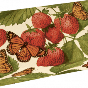 Una caja rectangular decorada con ilustraciones de fresas, hojas verdes y mariposas naranjas.