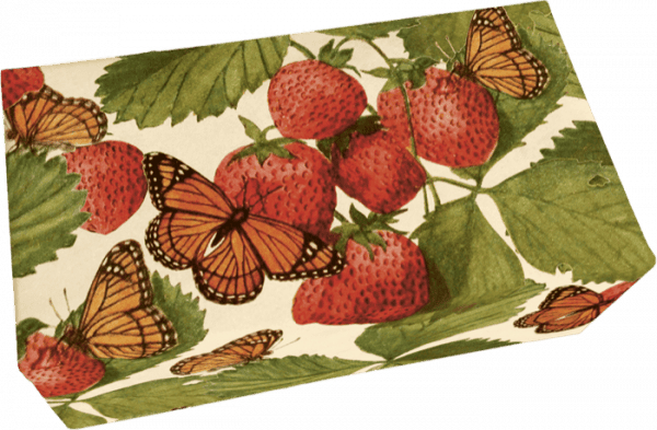 Una caja rectangular decorada con ilustraciones de fresas, hojas verdes y mariposas naranjas.
