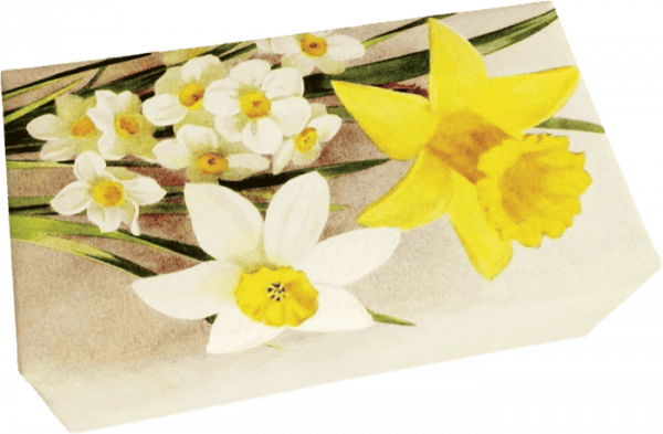 Ilustración de narcisos amarillos y blancos con tallos y hojas verdes sobre un fondo claro.