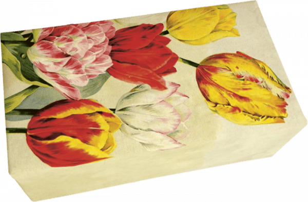 Bloque ilustrado con tulipanes coloridos que incluyen flores rojas, amarillas y rosas sobre un fondo beige.
