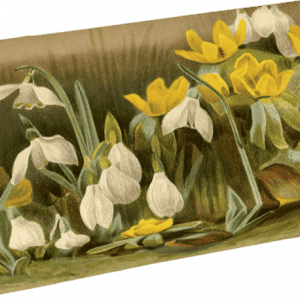 Ilustración de flores blancas y amarillas con hojas verdes sobre una caja rectangular, sobre un fondo marrón apagado.