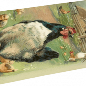 Ilustración de una gallina en blanco y negro con polluelos en un entorno de jardín.