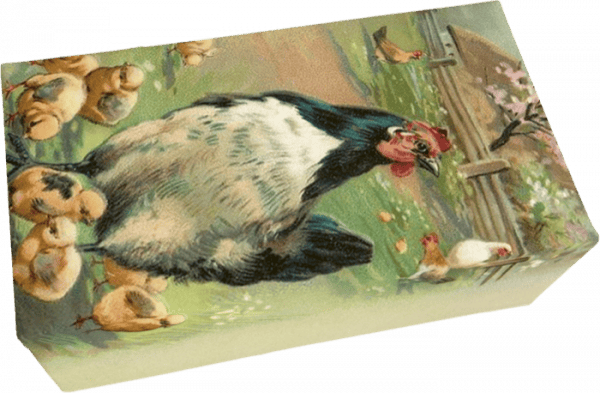 Ilustración de una gallina en blanco y negro con polluelos en un entorno de jardín.