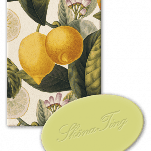 Tarjeta ilustrada con temática de limón, con limones, hojas y flores, acompañada de un objeto ovalado verde con escritura en relieve.