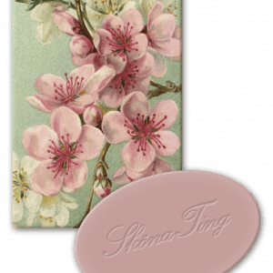 Ilustración de flores de cerezo rosadas floreciendo en ramas con hojas verdes, junto a una forma ovalada rosa con el texto "Shōna Tôŋ".