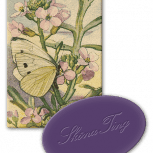 Tarjeta ilustrada de una mariposa blanca sobre flores rosas, con un óvalo morado en el frente que muestra texto en relieve.