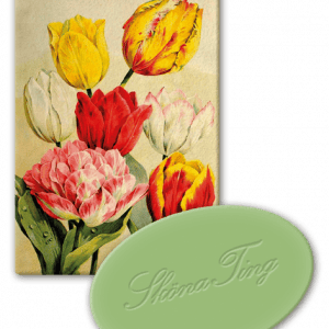 Ilustración de varios tulipanes en amarillo, rojo y rosa con una forma ovalada verde etiquetada "Shona Ting" en cursiva.