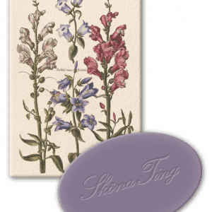 Ilustración de plantas botánicas con una barra de jabón violeta etiquetada "Shona Ting" en el frente.