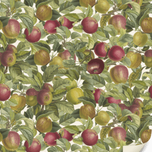 Ilustración de varias frutas, incluidas manzanas rojas y verdes, con hojas verdes. Se ve una esquina de página curvada en la parte inferior derecha.