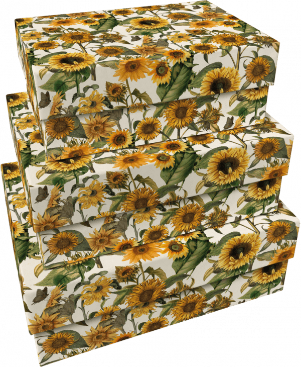 El producto presenta cuatro cajas rectangulares apiladas adornadas con patrones de girasoles y hojas verdes sobre un fondo blanco.