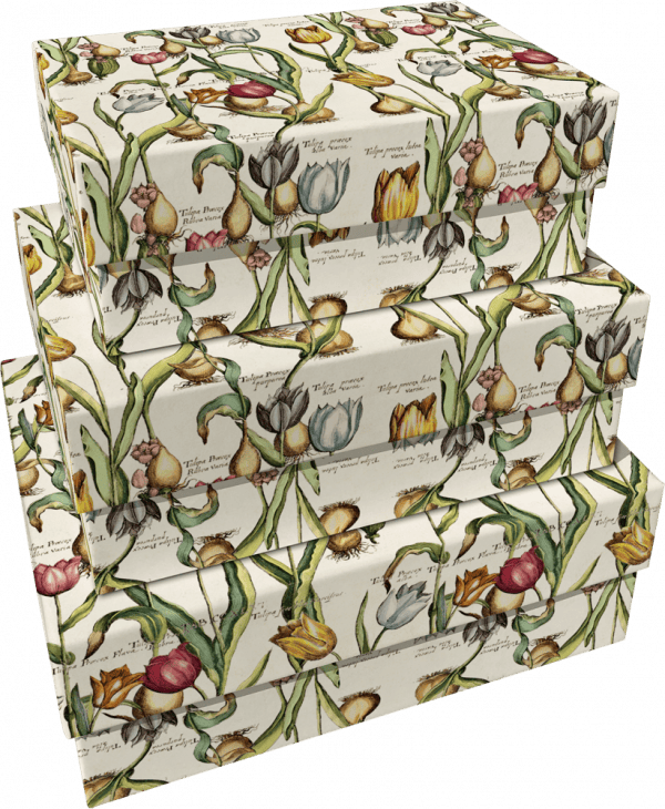 SET 3 CAJAS TULIPANES: Tres cajas apiladas decoradas con papel de tulipanes en varios colores y textos científicos.